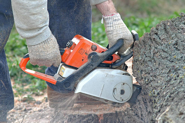 Landscape Design and Installation in Eagle Lake, WI